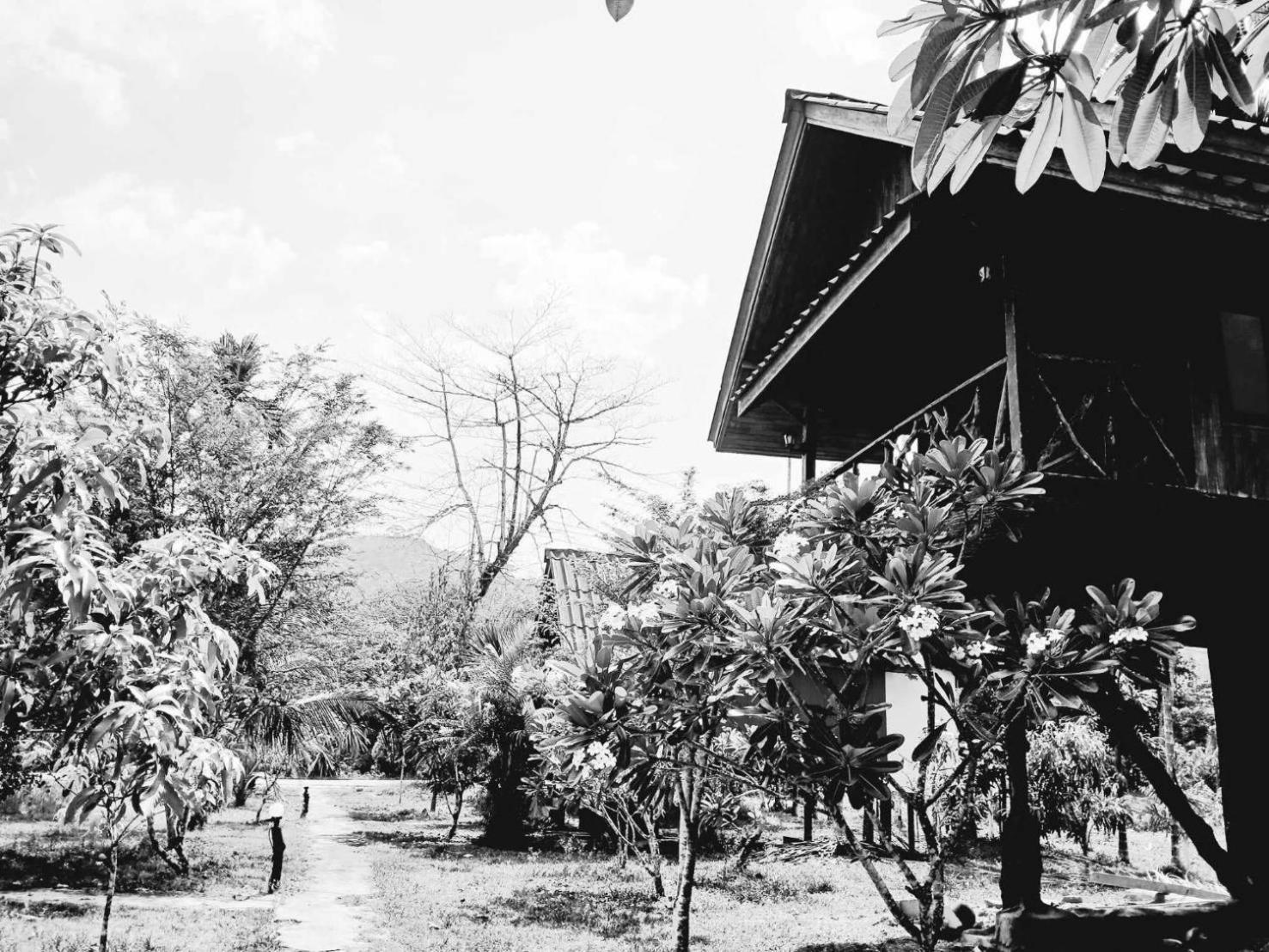 Bamboo House Taman liburan