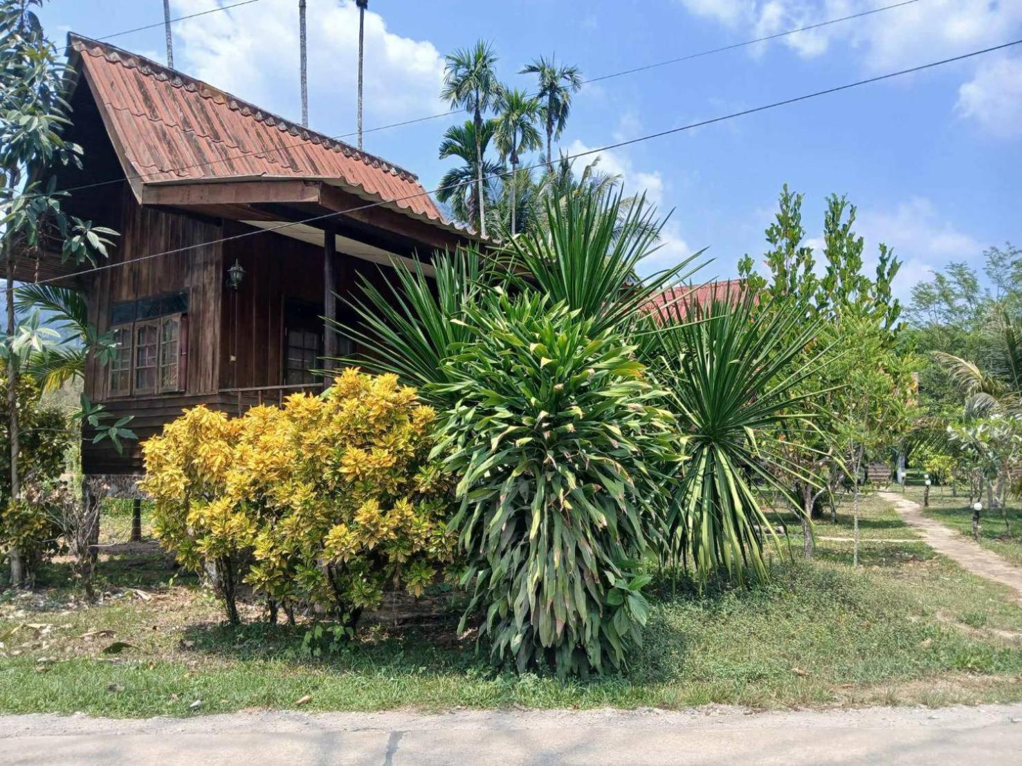 База отдыха Bamboo House Khao Sok National Park