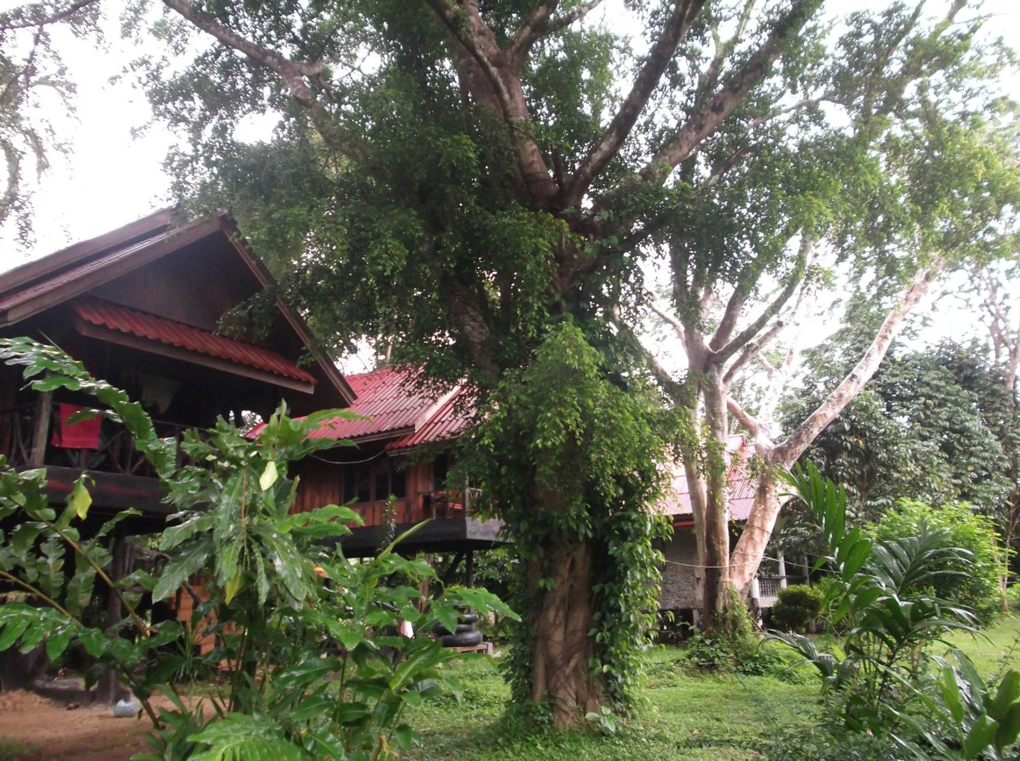 База отдыха Bamboo House Khao Sok National Park